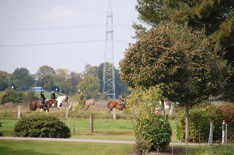 Tagesausritt Oktober 2008032.JPG